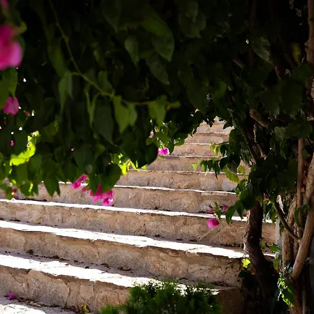 בית נופש Oasis De