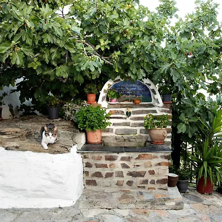 בית נופש Oasis De *